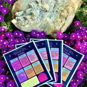 Bundle: Guided Rhema Bible Study