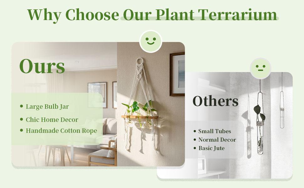 Glasseam Hanging Macrame Propagation Stations: Wall Window Glass Propagation Vases for Hydroponics Plants - Boho Decor Small Plant Terrarium Jars - Gifts for Women Mom Plants Lovers