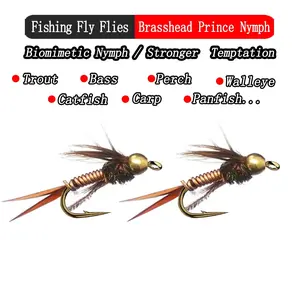 Fishing Lure 5Pcs/Box Fast Sinking Wire Tungsten Bead Head Nymph Flies Trout Fly Fishing Lures