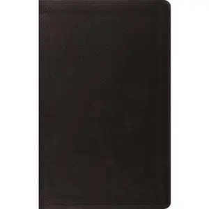 ESV Value Thinline Bible (Trutone, Black)