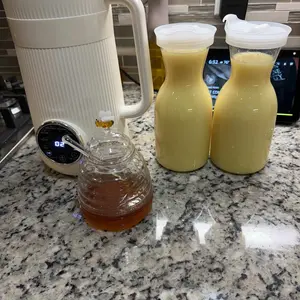 Product Review of KIDISLE 8-in-1 Multifunctional Nut Milk & Coffee Maker 32oz Auto Clean Delay Start Keep Warm Stainless Steel Black/White Kitchen Appliance Christmas Gift from S**s