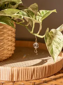 Heart Plant Vine Charm - Hanging Sun Catcher for Vines & Trailing Plants - Brass Heart Charm with Sun Crystal - House Plant Accessory - Hangable Suncatcher Decor