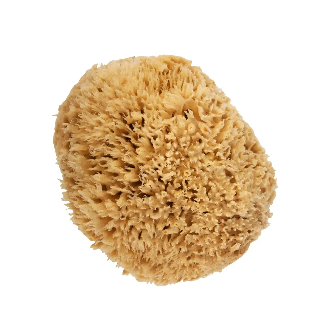 NICE Natural Sea Wool Sponge