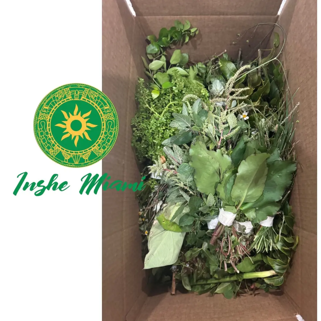21 Herbs for the Plant