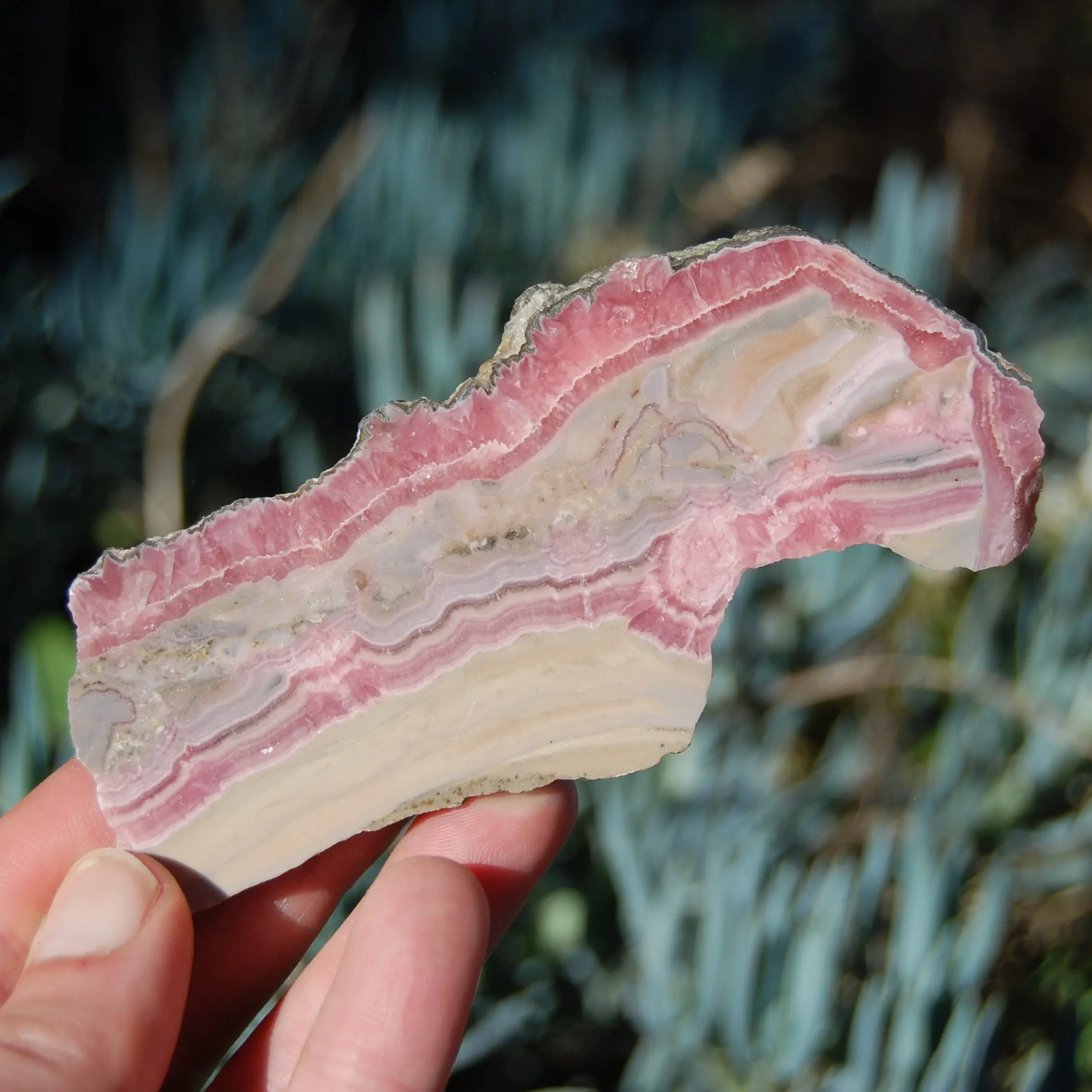 4.5in 123g Genuine Rhodochrosite Crystal Slice, Argentina