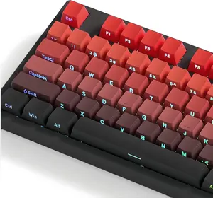 Womier Gradient Double Shot PBT Keycaps,Shine Through Custom Keycap Cherry Profile for All Layout Keyboard,Only keycaps