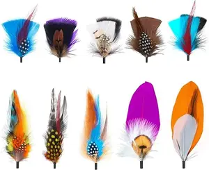 Hat Feathers for Fedora 10 Pcs Men Women Cowboy Hats Pins Assorted Color Crafts Accessories Feather for Open Road Borges Hat