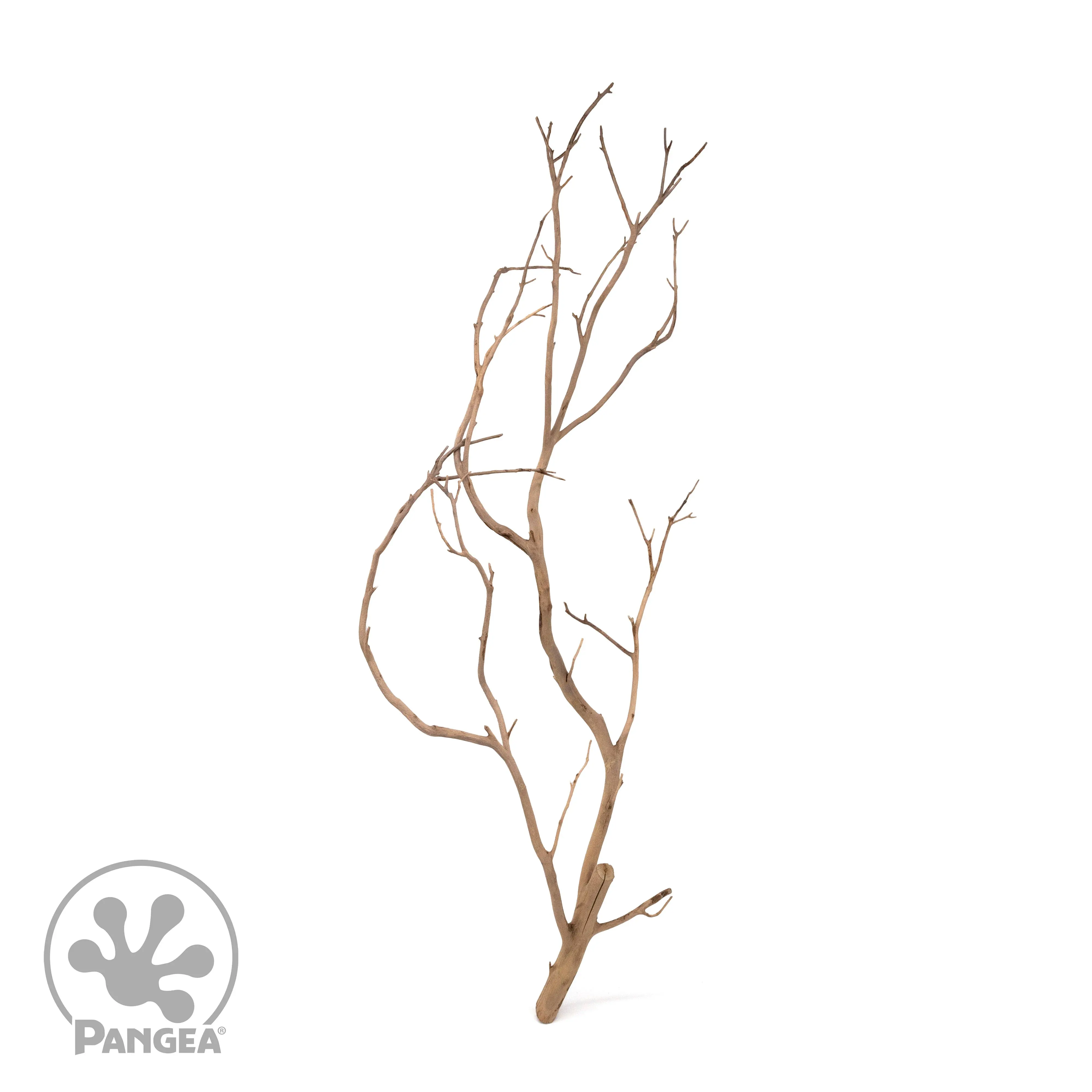 Manzanita Branches for Reptile Enclosures Manzanita Branches for Reptile Enclosures