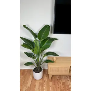 8” Bird of Paradise White 4 Feet Tall