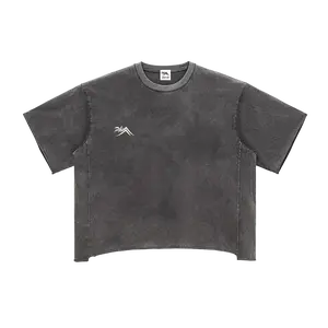 Sacred Seal Boxy Vintage Tee