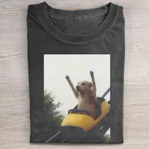 Funny Dog On Roller Coaster T-shirt, Vintage Graphic Tee, Silly Dog Meme Shirt, Oversized Streetwear Aesthetic Tee,