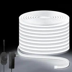 Neon Rope Lights 32.8ft, 6000K White Dimmable LED Strip Lights, 24V Flexible Cuttable IP67 Waterproof LED Rope Lights for Bedroom Indoor Outdoor (Power Adapter Included)