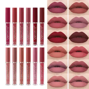 Matte Liquid Lipstick Set, Long-Lasting 24 Hours, Waterproof, Non-Sticky, Velvet Texture, Moisturizing, Hydrating, Perfect for Parties and Daily Use, Lipgloss