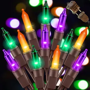LAMPHOME 2-Pack Halloween String Lights 20ft 100 Incandescent Orange Purple Green Mini Bulbs UL Certified Waterproof for Indoor Outdoor Use Fairy Garden Yard Home Party Holiday Decoration