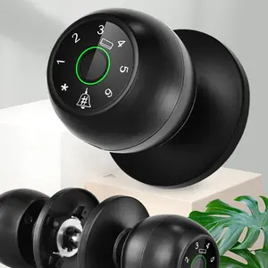 Smart Lock Doorknob