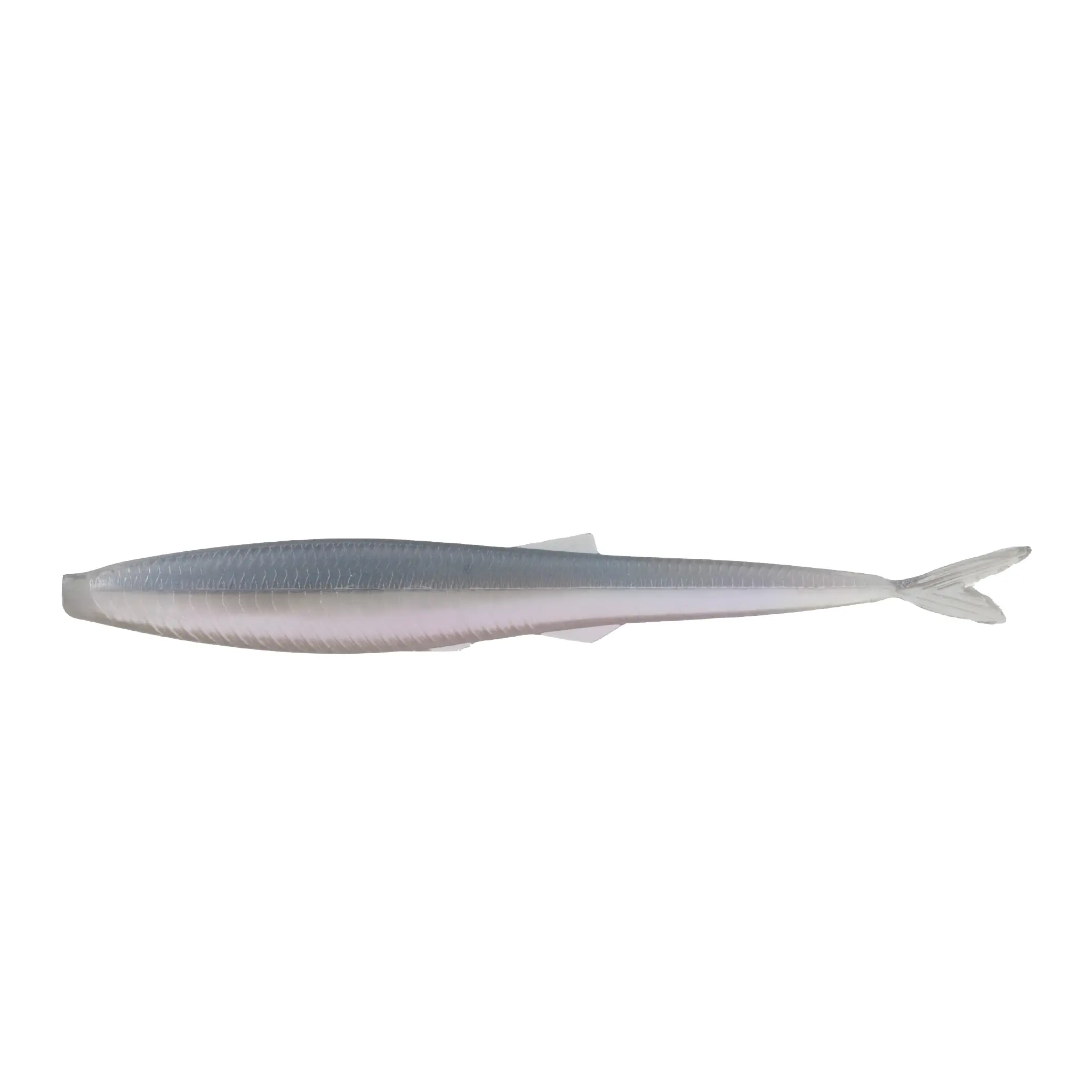Ghost Pro Shad