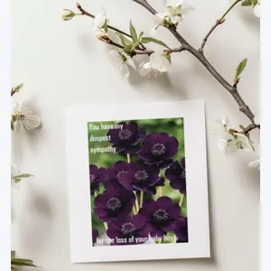 15 Pearl Robinson Loss of a Baby Boy Sympathy Cards with Deep Purple Anemone Design for Condolence Messages