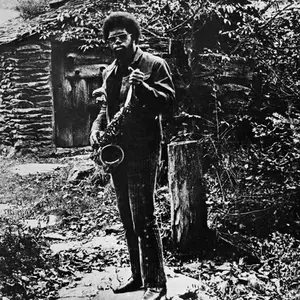 Joe McPhee - Nation Time  [VINYL RECORD - LP]