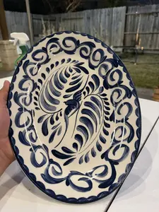 Restaurant Grade Dinner Plates