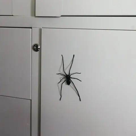 Spider Shape Magnetic Fridge Magnet, Magnetic Item, Fun Scary Decoration for Kitchen Office Whiteboard, Halloween Party Decor, Indoor Outdoor Use, Magnetic Refrigerator Magnets