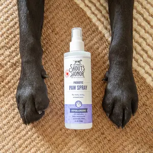 Probiotic Paw Spray
