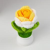 Woven roses potted yellow