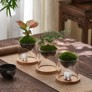 Cute Polar Bear Micro Landscape Moss Terrarium - High Borosilicate Glass Plant Pot with Wooden Base, Desktop Mini Bonsai Decor for Home Office, Unique Gift for Plant Lovers，bedroom decor