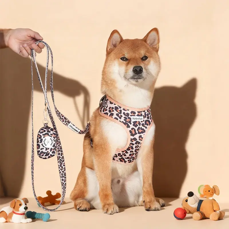 Bobotails Leopard Animal Print Double-Layer Dog Leash - Padded Handle, Secure Clip, Beach Style for Small-Medium-Large Dogs, Ideal for Daily Walks, Matching Sets Compatible Lead