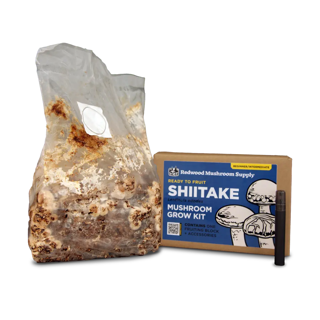 Shiitake Mushroom Grow Kit Shiitake Mushroom Grow Kit