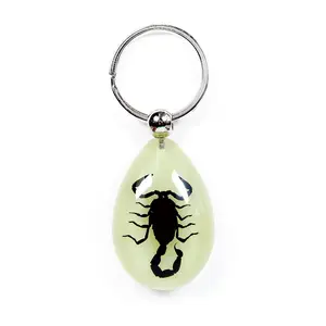 Glow In The Dark Pendant Keychain with Real Black Scorpion