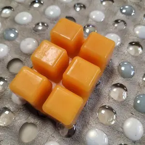 Signature Scent Wax Melts Burned in Little-Minnows