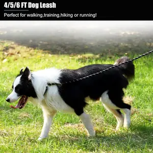 Bestselling Anti-Explosion Night Reflective Dog Leash, Foam Handle Dog Chain, Walking Dog Lead, Durable and Comfortable Pet Gear