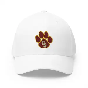 Embroidered Cap with Paw Print, Custom Sports Hat, Personalized Gift for Pet Lovers, Adjustable Baseball Cap, Team Spirit Accessory