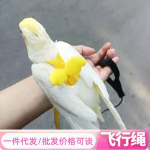 Parrot Flight Rope Harness Walking Leash TigerTiger Skin XuanfengSafe Lightweight