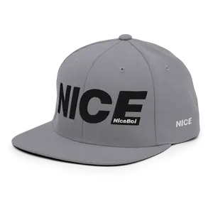 NICE OG Gray/Black Snapback