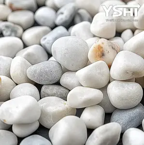 Grade A White Polished River Pebbles 0.40 cu. ft. 1 in. to 2 in. 30 lbs