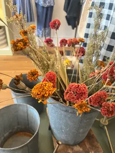 Real Organic Flower Stems from Kado Farm in Hudson, NY