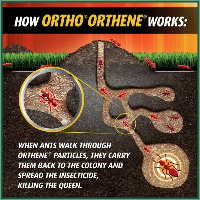 Ortho Orthene Fire Ant Killer Cockroach Roach Repellent,Deworming Cockroach Bait,Roach Killer 12oz BY