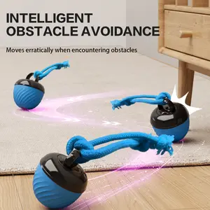 Interactive Cat & Dog Teaser Toy - Rolling Ball Toy for Kittens & Puppies |   Pet Supplies, Accessories, & Toys |   Cute Cat & Dog Playthings |   Electric Pet Toys