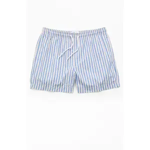 Pacsun Men's Dolphin Striped 4.5" Swim Trunks
