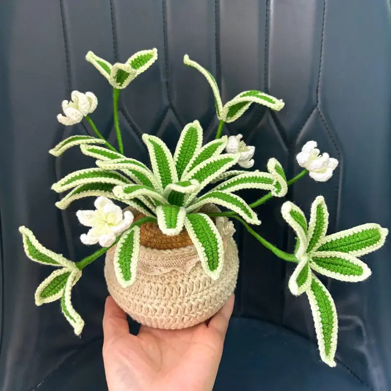 Crochet Plant, Handmade Crochet Spider Plants Crochet Flowers for Desk Decor, Graduation, Birthday, Friendship, Anniversary, Grandma, Mom