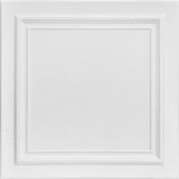 Plain White (Unpainted)