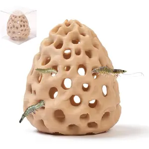 Shrimp Cave, Shrimp  for Aquarium, Betta Fish Hideout with Suction Cup  Accessories for Fish  Decor, Hiding & Resting, Betta Fish Habitat  Ornament Accessories