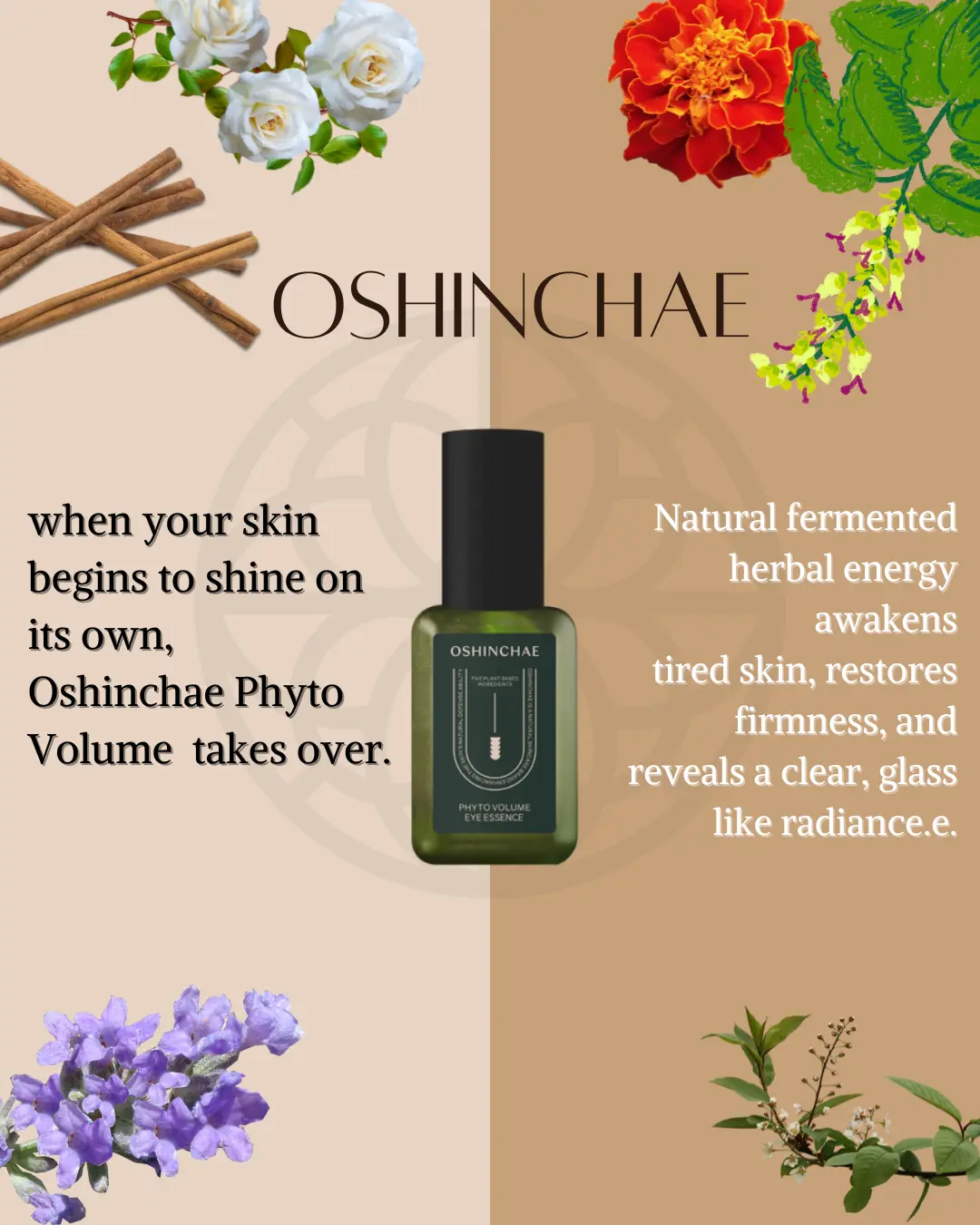 OSHINCHAE Phyto Volume Serum, Moisturizer for Dry Skin - Radiant Hydrating Skincare Essence, 1.35 fl. oz (40ml) Single Item, Ginger, Hydrating Serum, Uneven Skin Tone