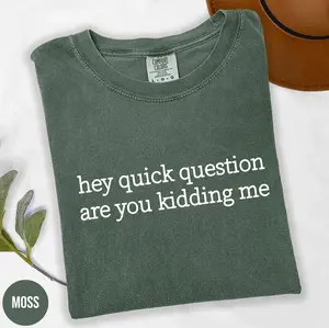 Comfort Colors Hey Quick Question Are You Kidding Me Shirt, Sarcastic Tshirt, Funny Humor Shirt, Funny Meme Shirt, Mental Health Shirt