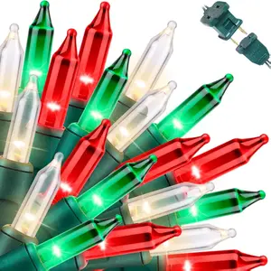 LAMPHOME 2-Pack Super-Bright Christmas String Lights 100Warm White Green & Red Mini Bulbs 19.6ft UL Certified Extendable Green Wire for Outdoor Decor