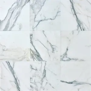 Calacatta Gold  12x12 Polished/Honed Marble Tile