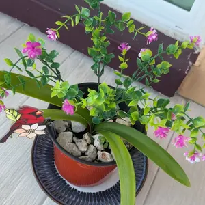 review image 3