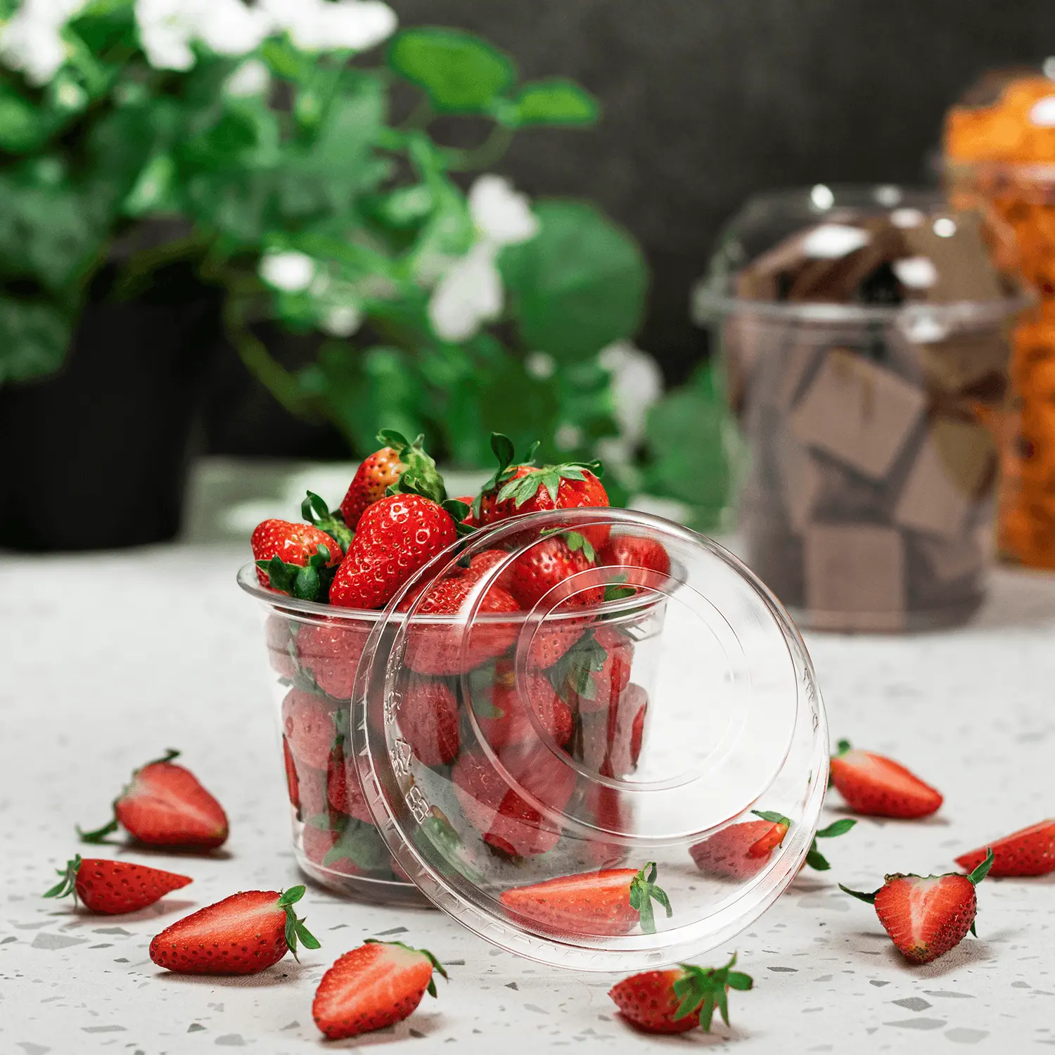 [500 ct] 8-32 oz Food Container Dome Lids | PET | 117 mm
