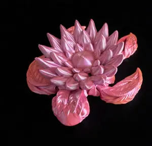 Lotus Turtle